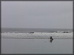 IMG_5311.jpg