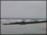 IMG_5316.jpg