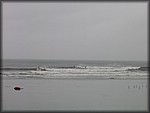 IMG_5318.jpg