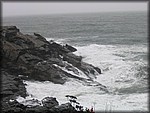 IMG_5326.jpg