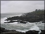 IMG_5335.jpg