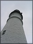 IMG_5338.jpg