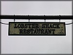 IMG_5347.jpg