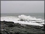 IMG_5354.jpg