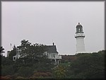 IMG_5359.jpg
