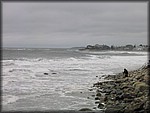 IMG_5385.jpg