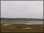 IMG_5391.jpg