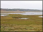 IMG_5392.jpg