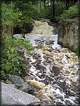 IMG_5395.jpg