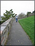 IMG_5419.jpg