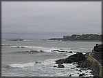 IMG_5425.jpg