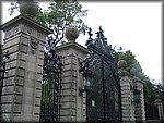 IMG_5431.jpg