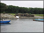 IMG_5459.jpg