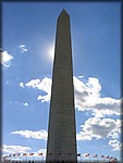 IMG_5951.jpg
