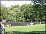 IMG_5966.jpg
