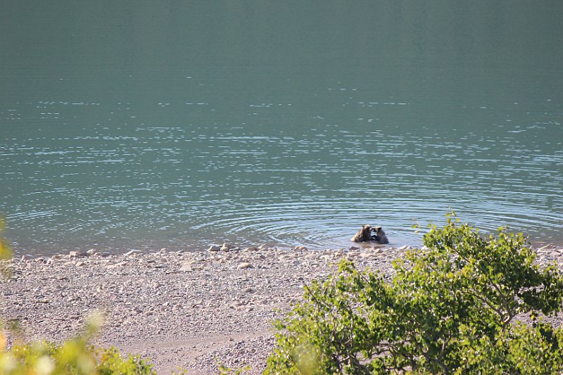IMG_3712.JPG