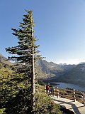 DSC08306