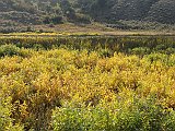 DSC08655