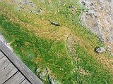 DSC08882