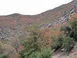 DSC09298
