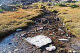 IMG_3120