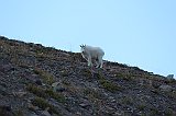 IMG_3182