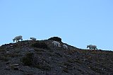 IMG_3192