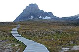 IMG_3228
