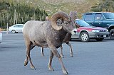 IMG_3263