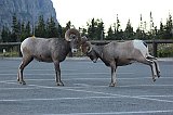 IMG_3276