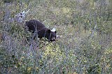 IMG_3295