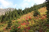IMG_3460