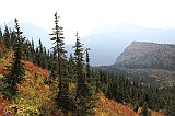 IMG_3557