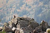 IMG_3577
