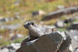 IMG_3583