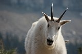 IMG_3615