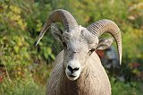 IMG_3627