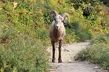 IMG_3628