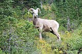 IMG_3633