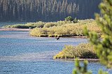 IMG_3679
