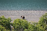 IMG_3693
