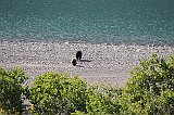IMG_3698