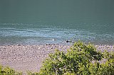 IMG_3704