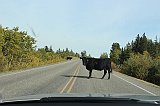 IMG_3786