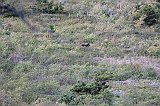 IMG_3814
