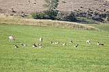 IMG_3948