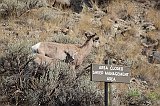 IMG_3956