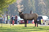 IMG_3963