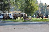 IMG_3971