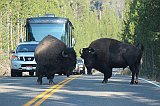 IMG_4192